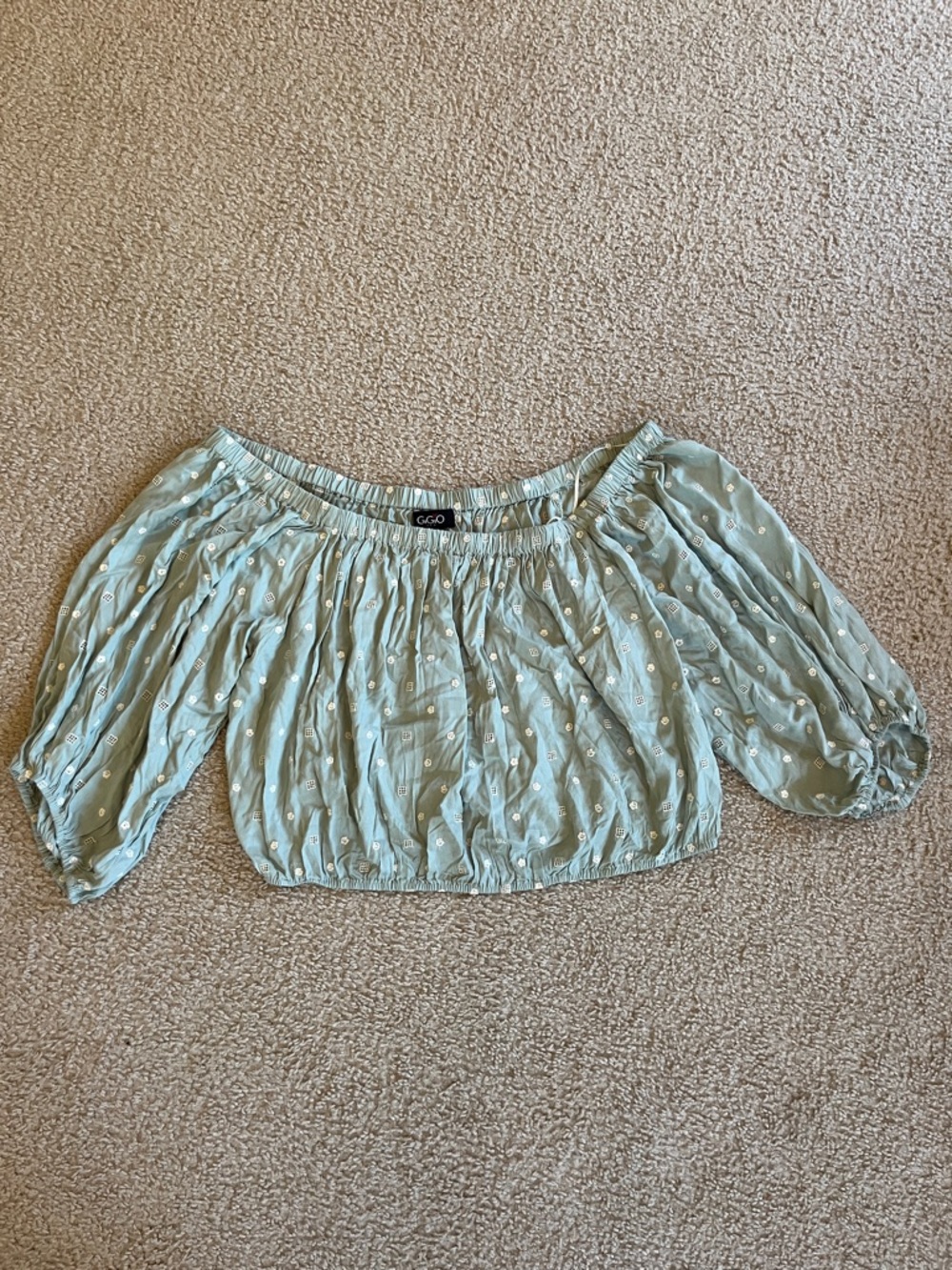 Light Sage Embroidered Crop Top L